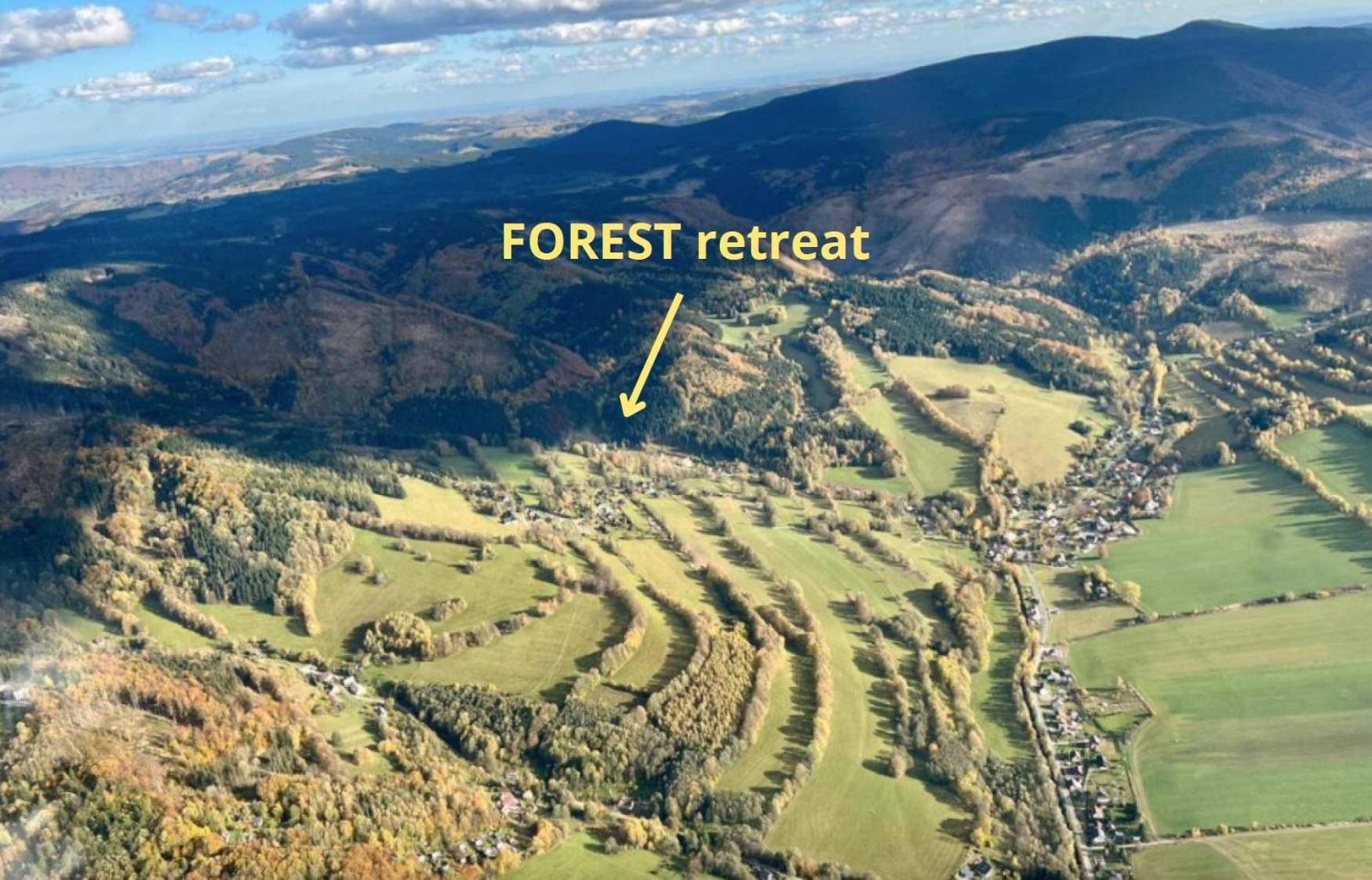 Apartmany New Forest Retreat - U Lesa, S Parkovanim, 300Mbit Internet Jesionik Zewnętrze zdjęcie