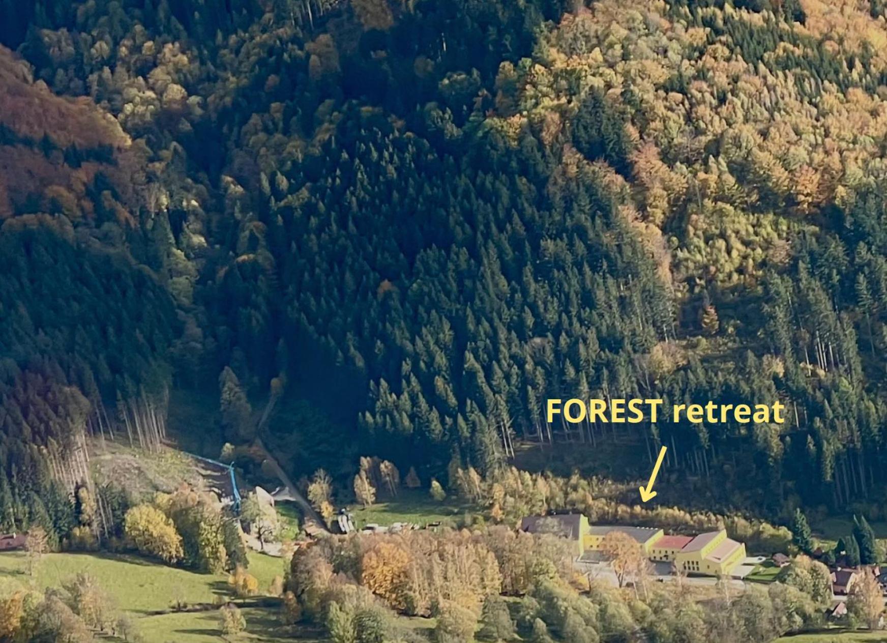 Apartmany New Forest Retreat - U Lesa, S Parkovanim, 300Mbit Internet Jesionik Zewnętrze zdjęcie