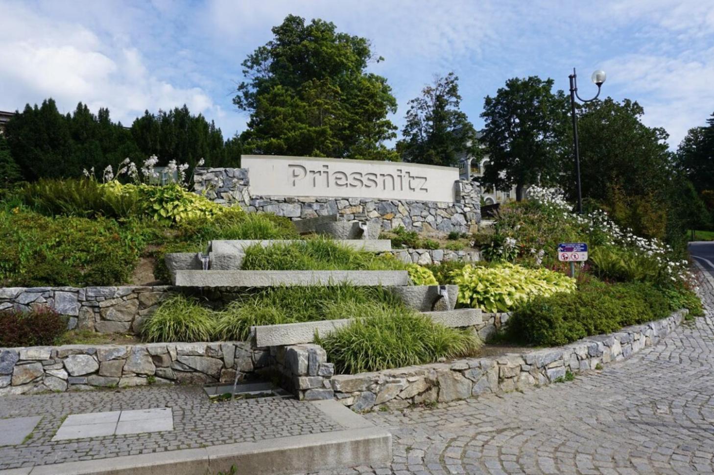 Apartmany New Forest Retreat - U Lesa, S Parkovanim, 300Mbit Internet Jesionik Zewnętrze zdjęcie