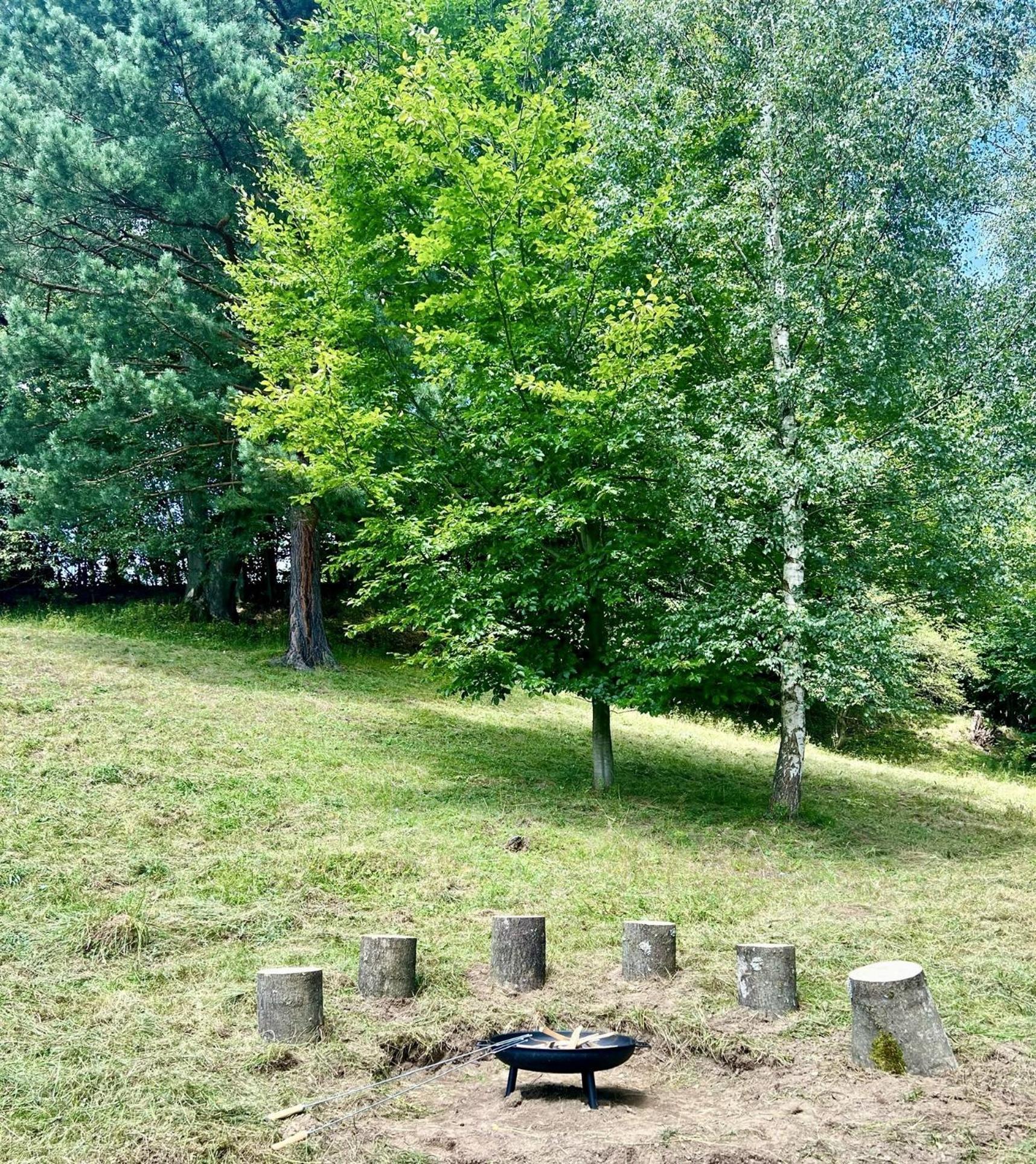 Apartmany New Forest Retreat - U Lesa, S Parkovanim, 300Mbit Internet Jesionik Zewnętrze zdjęcie